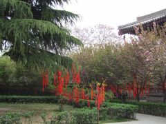 -西安青龙寺遗址景区