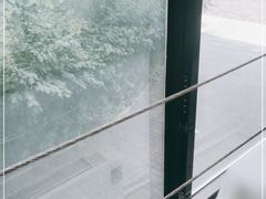 -梧桐
