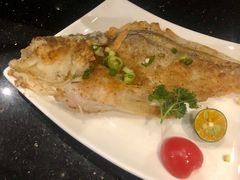 -割烹旭日本料理(龙湖狮山天街店)
