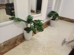 -顺德壹加壹美容医院