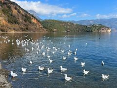 -丽江泸沽湖景区