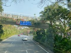 -华侨城湿地公园