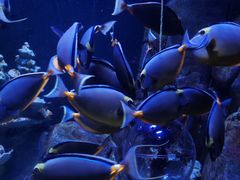 -成都浩海立方海洋公园