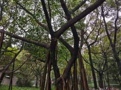 -广州市白云山风景名胜区