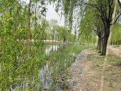-东坝千亩湖公园