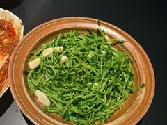 -纯阳•六两酒馆