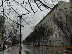 -沈阳职业技术学院