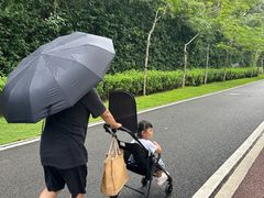 -凤岗南门山森林公园