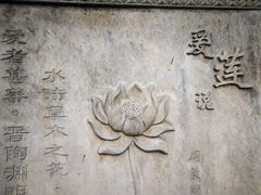 -晓港公园