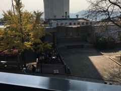 -茶颜悦色(岳麓山顶店)