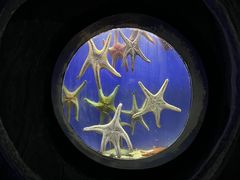 -合肥海洋世界