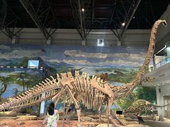 -自贡恐龙博物馆