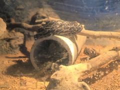 -泉州海丝野生动物世界