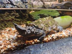 -上海海洋水族馆