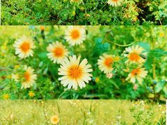 -长春公园(普阳街道)