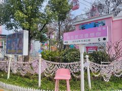 -东湖磨山景区