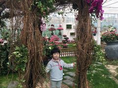 -上海鲜花港