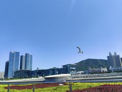 -星海广场