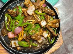 -东鸽皇(奥园·中环广场店)