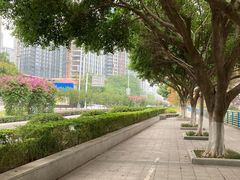 -滨江路