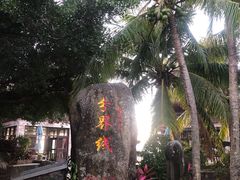 -海南分界洲岛旅游区