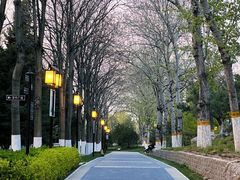 -西海子公园