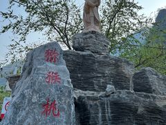 -大岭沟猕猴桃谷风景区