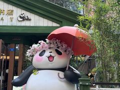 -轩客会(熊猫书店)