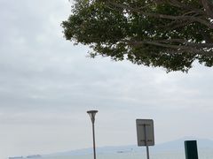 -音乐广场
