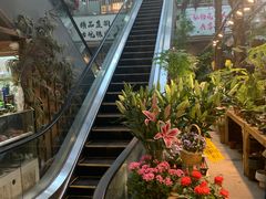 -双季花艺园艺市场(浦东店)