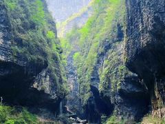 -鹿院坪生态旅游景区