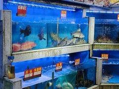 -东江海鲜大排档·潮汕菜·砂锅粥