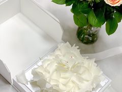 -BLACKSWAN黑天鹅(环球店)