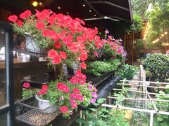 -宝翠花园餐厅(沙湖店)