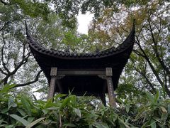 -沧浪亭