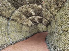 -北海金海湾红树林生态旅游区