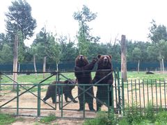 -秦皇岛野生动物园