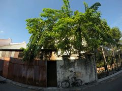 -槟城街头艺术街区