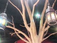 -那时新疆·若羌(经纬汇店)