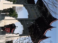 -堤角公园