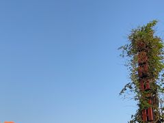 -杭州宋城