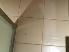 -全季酒店(北京东直门店)