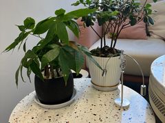 -安肯心理咨询(长宁旗舰店)