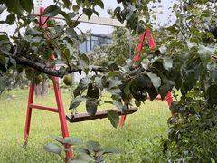 -丽泽山庄·生态怀柔菜·虹鳟鱼(红螺寺店)