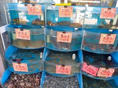 -北戴河庆山饭店·海鲜砂锅粥(北戴河黑石路店)