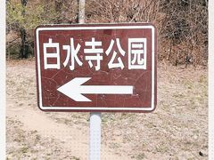 -白水寺森林公园