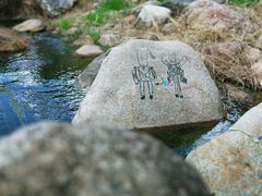 -白塘生态植物园