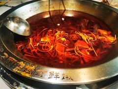 -蛙一刀·麻椒鱼火锅(金仙桥店)