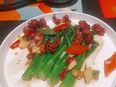 -羽鸽集·乳鸽专门店·地道顺德菜(岭南站店)