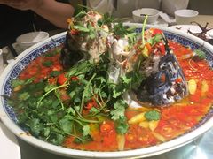 湘潭九龙鱼头-湘潭九龙鱼头店(城南西路店)